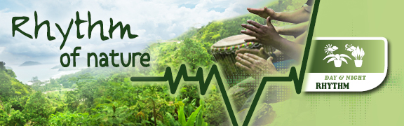 org:/banners product categories/VALSTAR_RHYTHM OF NATURE_TABLEBANNER_576X180PX.jpg